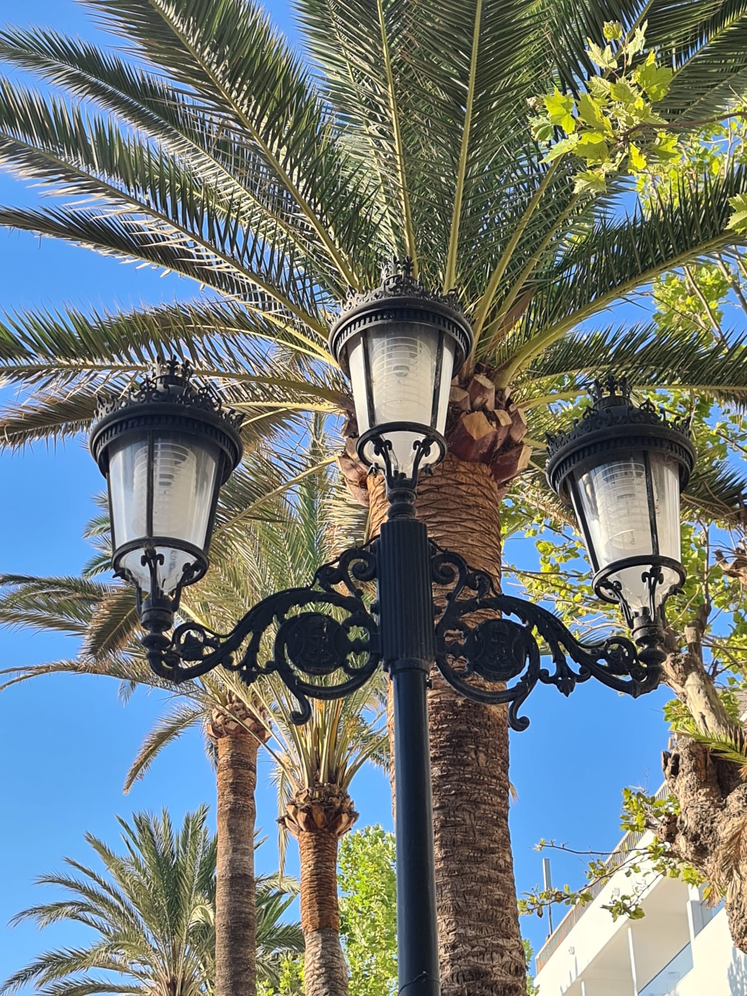 Multiplicamos los proyectos de sostenibilidad energética en la provincia de Málaga