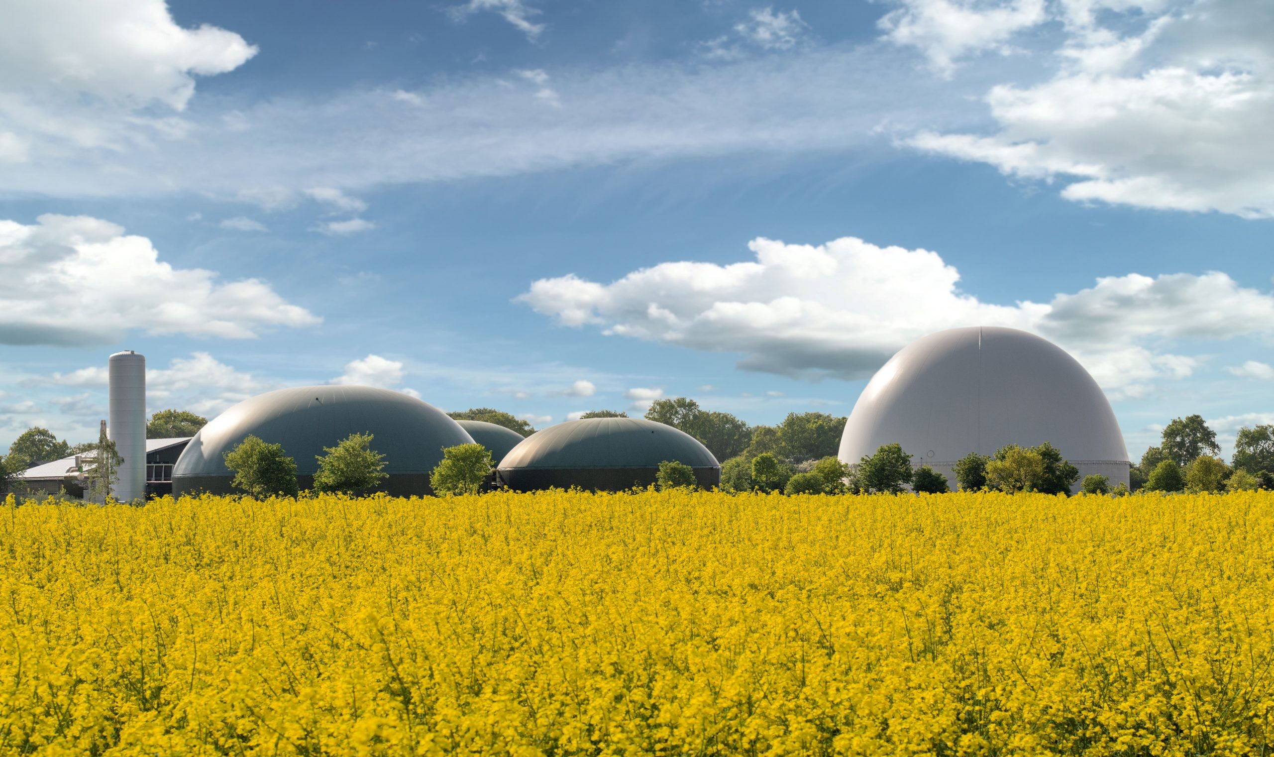 Edison Next acquires Iberdrola's cogeneration plants for slurry treatment and a portfolio of biomethane projects.