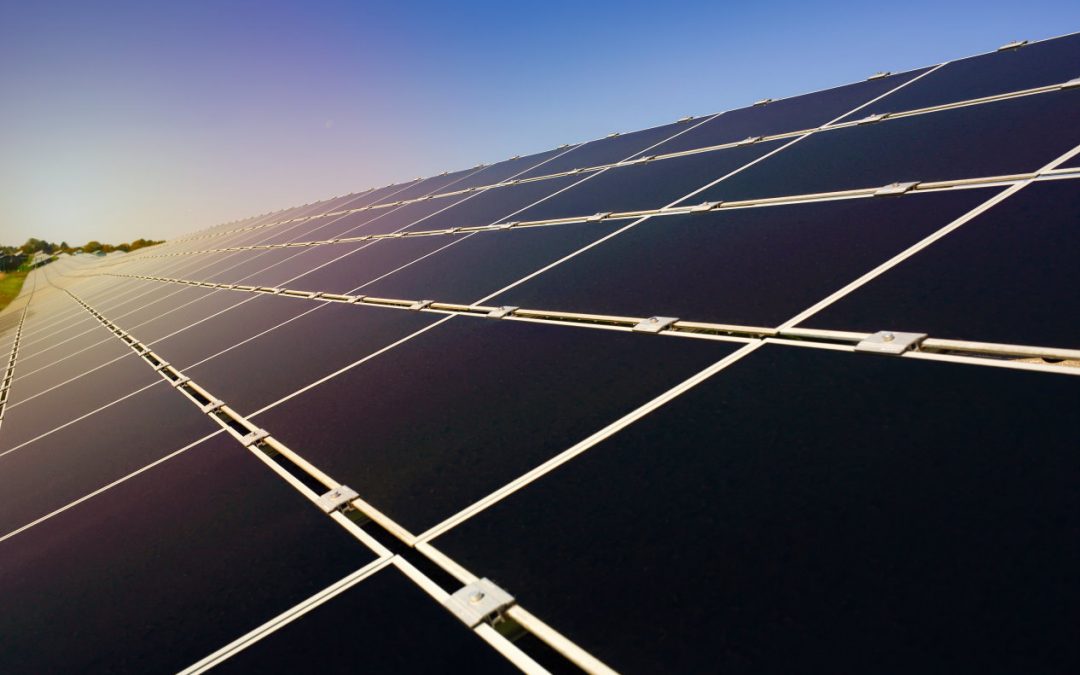 El sector empresarial, clave en el desafío de la transición ecológica hacia el Carbon Neutral