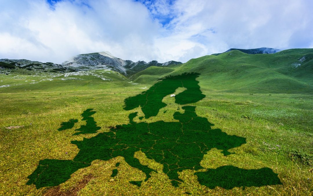 EU Green Deal: la hoja de ruta hacia el Carbon Neutral