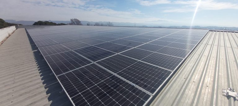 autoconsumo fotovoltaico pascual
