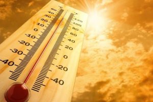 Últimas noticias 11 Golpe de calor en el trabajo 0
