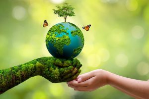 reasons to protect the environment