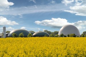 Foto planta biometano Italia scaled