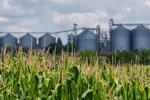 sector agroalimentario