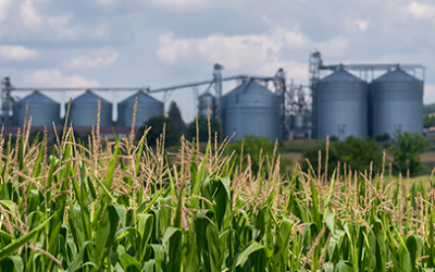 sector agroalimentario